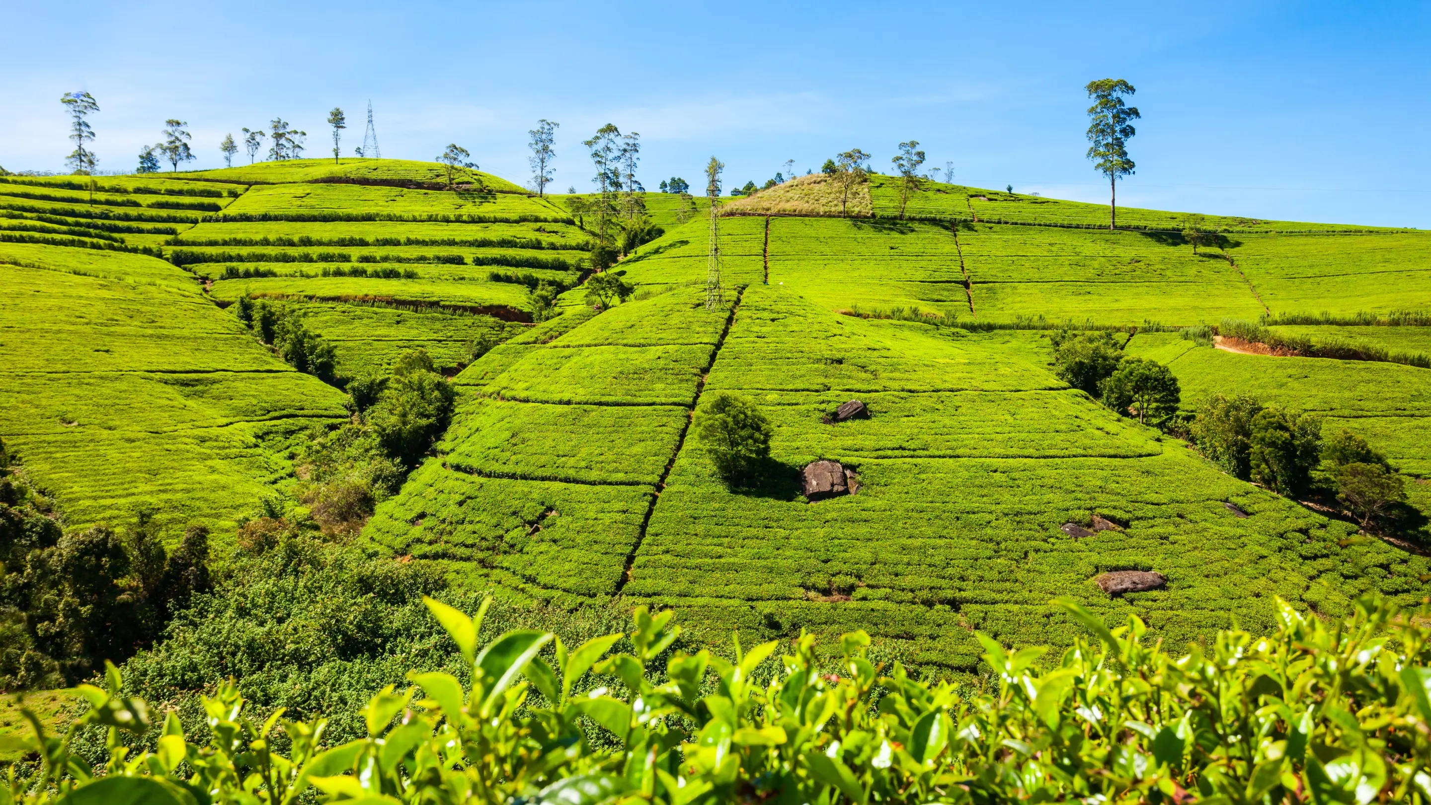 Temple of the Tooth Kandy