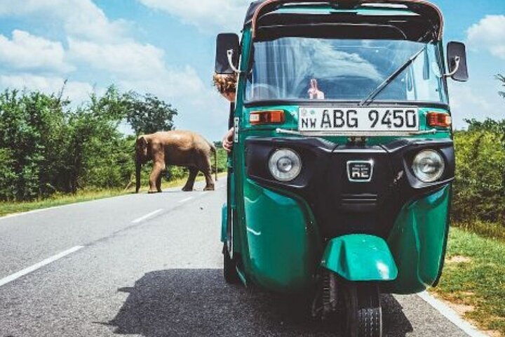 Tuk Tuk tour Sri Lanka
